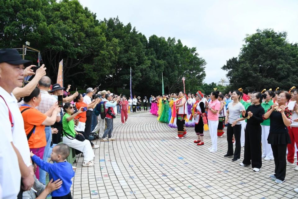 杨锐, mQhFn, 赛事活动