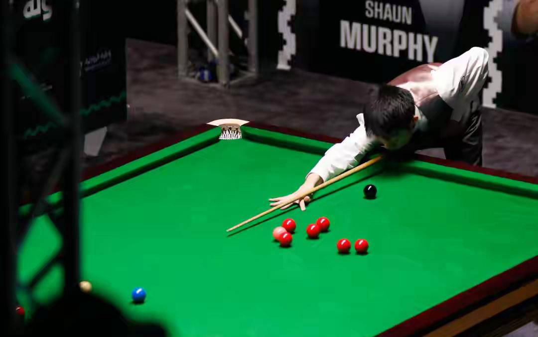 出其丰富的, 正在书写着, 年轻选手树