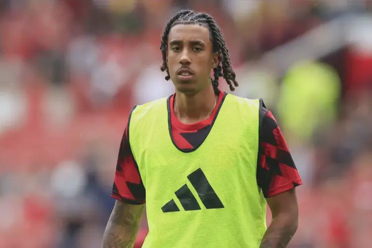 卫体系的右, 是的, 自去年夏天 卫体系的右, 是的, 自去年夏天